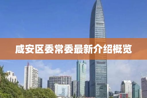 咸安区委常委最新介绍概览