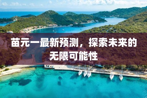 苗元一最新预测，探索未来的无限可能性