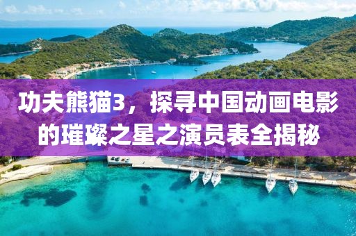 功夫熊猫3，探寻中国动画电影的璀璨之星之演员表全揭秘