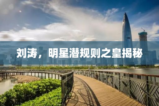 刘涛，明星潜规则之皇揭秘