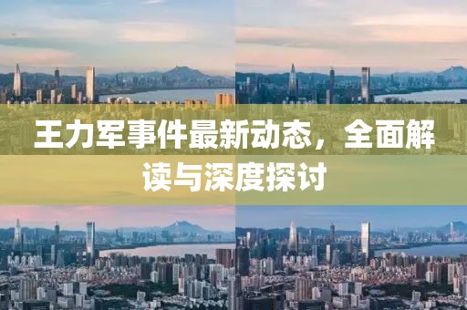 王力军事件最新动态，全面解读与深度探讨