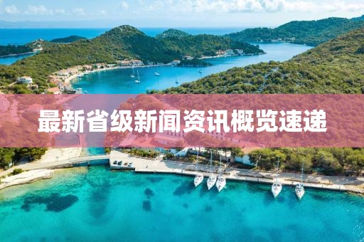 最新省级新闻资讯概览速递