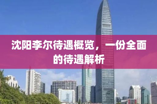 沈阳李尔待遇概览，一份全面的待遇解析