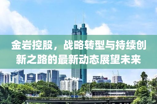 金岩控股，战略转型与持续创新之路的最新动态展望未来