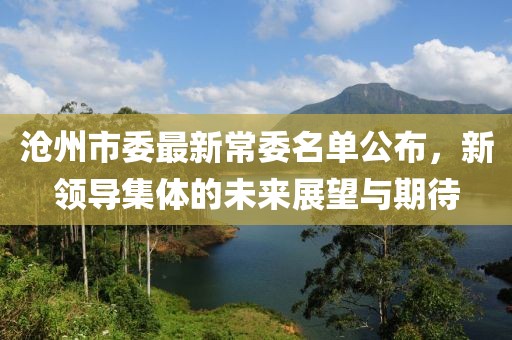 沧州市委最新常委名单公布，新领导集体的未来展望与期待