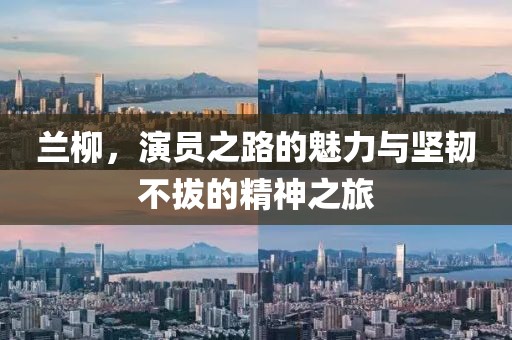 兰柳，演员之路的魅力与坚韧不拔的精神之旅