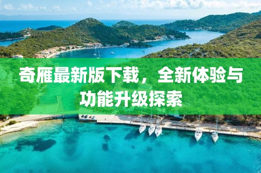 奇雁最新版下载，全新体验与功能升级探索