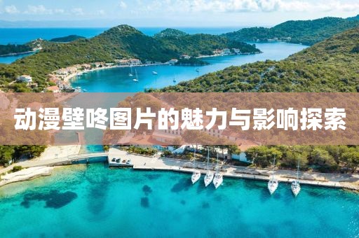 动漫壁咚图片的魅力与影响探索