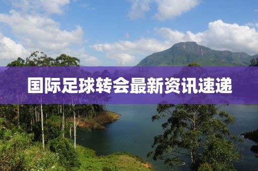 国际足球转会最新资讯速递