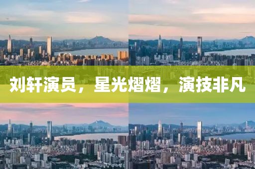 刘轩演员，星光熠熠，演技非凡