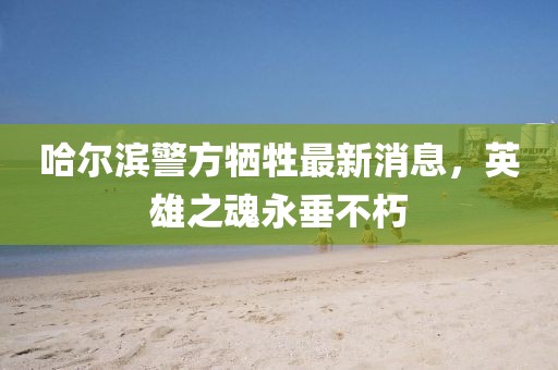 哈尔滨警方牺牲最新消息，英雄之魂永垂不朽