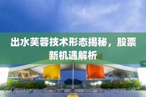 出水芙蓉技术形态揭秘，股票新机遇解析