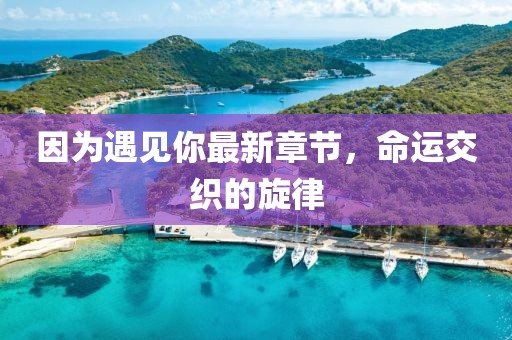 因为遇见你最新章节，命运交织的旋律