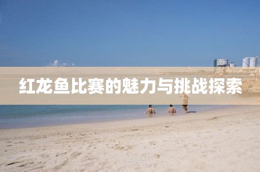 红龙鱼比赛的魅力与挑战探索
