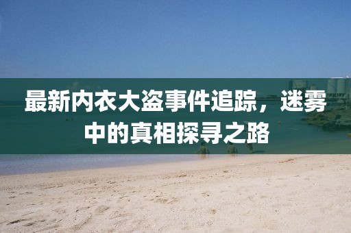 最新内衣大盗事件追踪，迷雾中的真相探寻之路