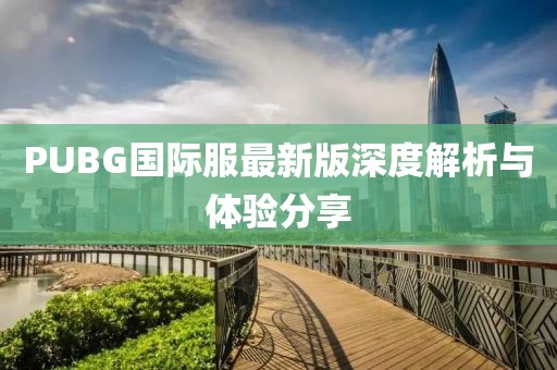PUBG国际服最新版深度解析与体验分享