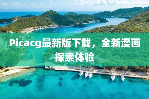 Picacg最新版下载，全新漫画探索体验