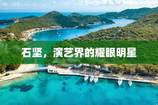 石坚，演艺界的耀眼明星
