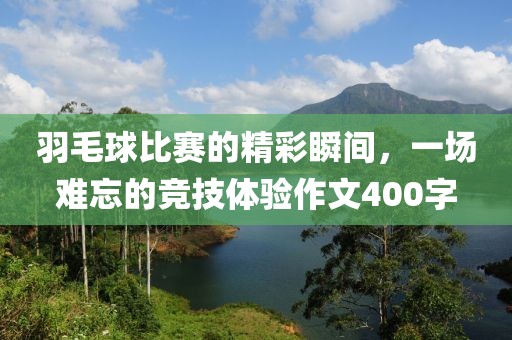 羽毛球比赛的精彩瞬间，一场难忘的竞技体验作文400字