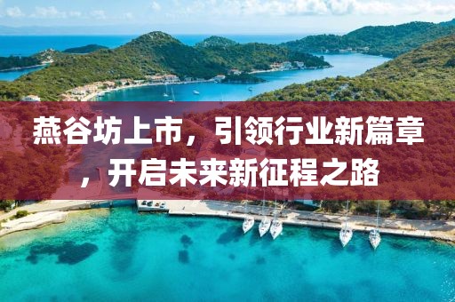 燕谷坊上市，引领行业新篇章，开启未来新征程之路