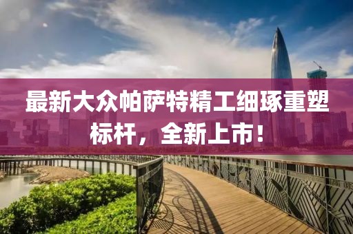 最新大众帕萨特精工细琢重塑标杆，全新上市！