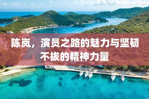 陈岚，演员之路的魅力与坚韧不拔的精神力量