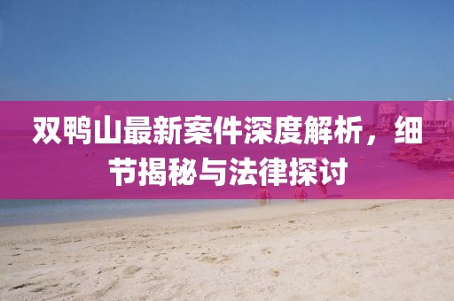 双鸭山最新案件深度解析，细节揭秘与法律探讨