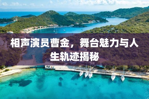 相声演员曹金，舞台魅力与人生轨迹揭秘