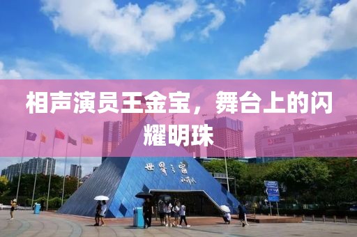 相声演员王金宝，舞台上的闪耀明珠