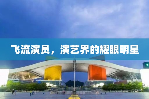 飞流演员，演艺界的耀眼明星