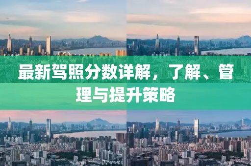 最新驾照分数详解，了解、管理与提升策略