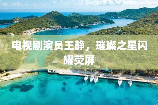 电视剧演员王静，璀璨之星闪耀荧屏