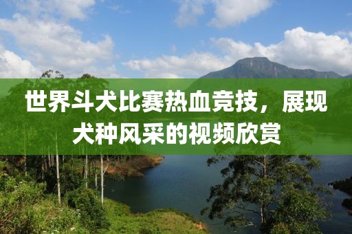 世界斗犬比赛热血竞技，展现犬种风采的视频欣赏
