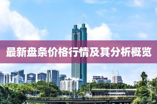 最新盘条价格行情及其分析概览