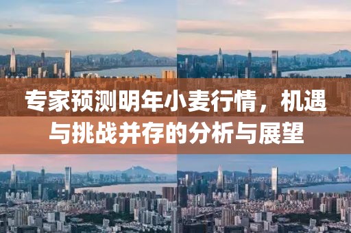 专家预测明年小麦行情，机遇与挑战并存的分析与展望