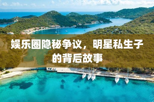 娱乐圈隐秘争议，明星私生子的背后故事