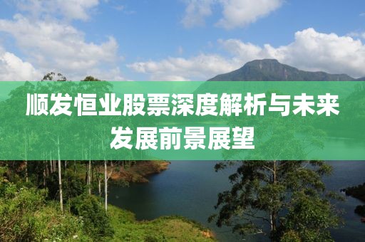 顺发恒业股票深度解析与未来发展前景展望