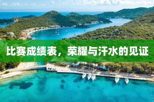 比赛成绩表，荣耀与汗水的见证