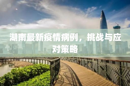 湖南最新疫情病例，挑战与应对策略