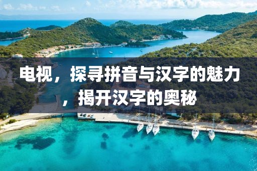 电视，探寻拼音与汉字的魅力，揭开汉字的奥秘