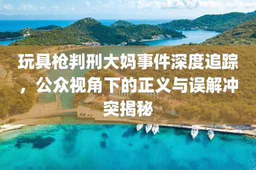 玩具枪判刑大妈事件深度追踪，公众视角下的正义与误解冲突揭秘