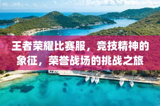 王者荣耀比赛服，竞技精神的象征，荣誉战场的挑战之旅