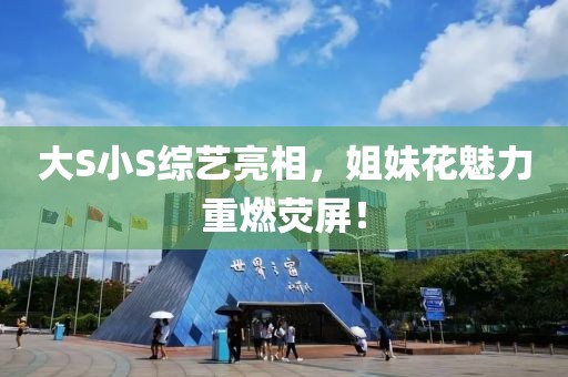 大S小S综艺亮相，姐妹花魅力重燃荧屏！