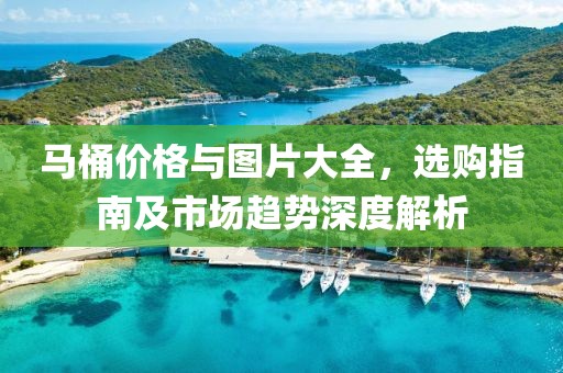 马桶价格与图片大全，选购指南及市场趋势深度解析