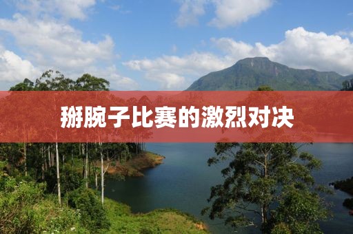 掰腕子比赛的激烈对决