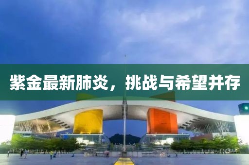 紫金最新肺炎，挑战与希望并存