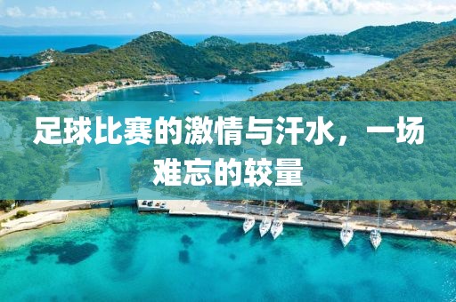 足球比赛的激情与汗水，一场难忘的较量