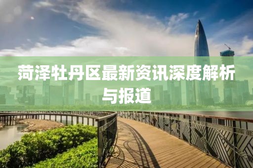 菏泽牡丹区最新资讯深度解析与报道