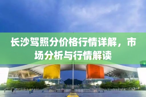 长沙驾照分价格行情详解，市场分析与行情解读