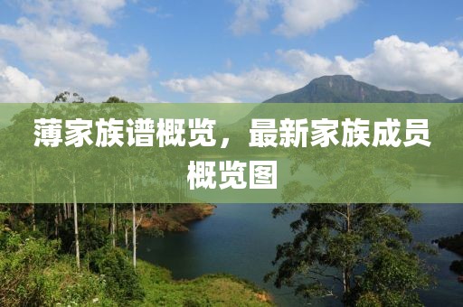 薄家族谱概览，最新家族成员概览图
